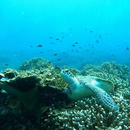 4 Sisters Divers ブナケン エクステリア 写真