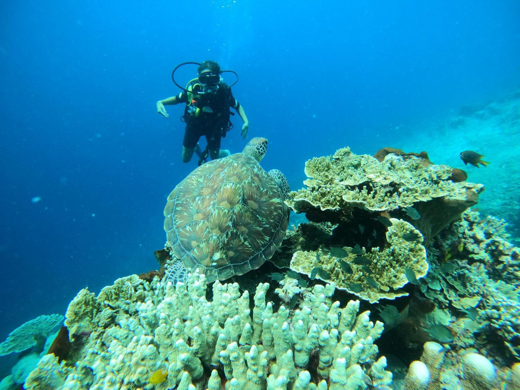 4 Sisters Divers ブナケン エクステリア 写真